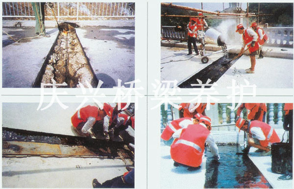 TST�o(w��)�p��s�p���bʩ��