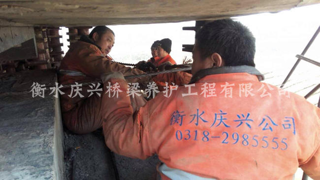 �ϸ����F40000ǧţ֧����ƫ�{��