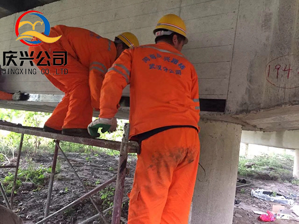 cd˾SS٘B(yng)oӹ̹ʩ