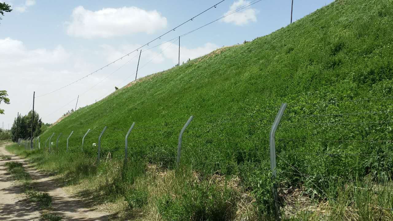 圖片1.jpg 圖片1.jpg